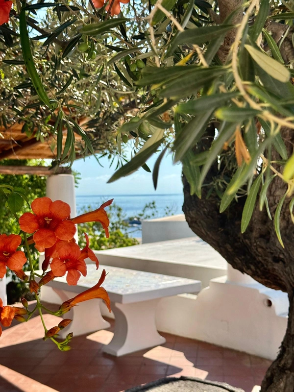 Colori e profumi di Panarea